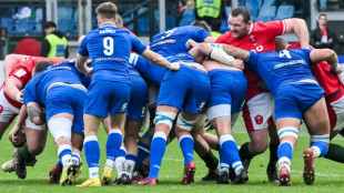Owens' Wales have 'nothing to lose' against France