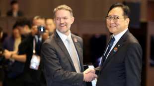 La Cooperación Económica Asia-Pacífico expresa preocupación ante los "retos fundamentales" que afectan al comercio