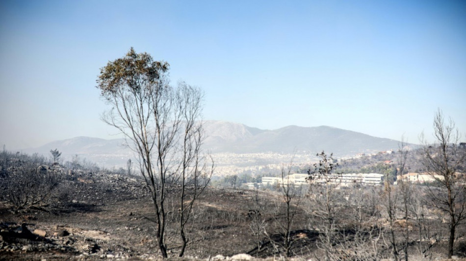 Griechische Feuerwehr d&auml;mmt Waldbrand nahe Athen ein