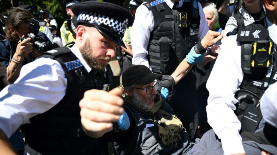 UN urges UK to repeal 'disproportionate' Palestine Action ban