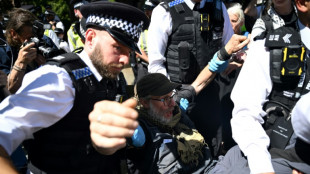 UN urges UK to repeal 'disproportionate' Palestine Action ban