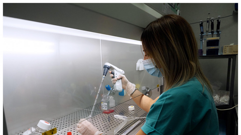 Sla, chiarito il ruolo chiave delle cellule-assistenti dei neuroni
