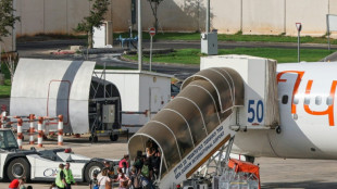 Una pasajera de un vuelo con destino a Israel asegura que el piloto intent&oacute; estrellar el avi&oacute;n