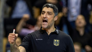 Volley: Andrea Giani veut apporter "la r&eacute;gularit&eacute;" aux Bleus