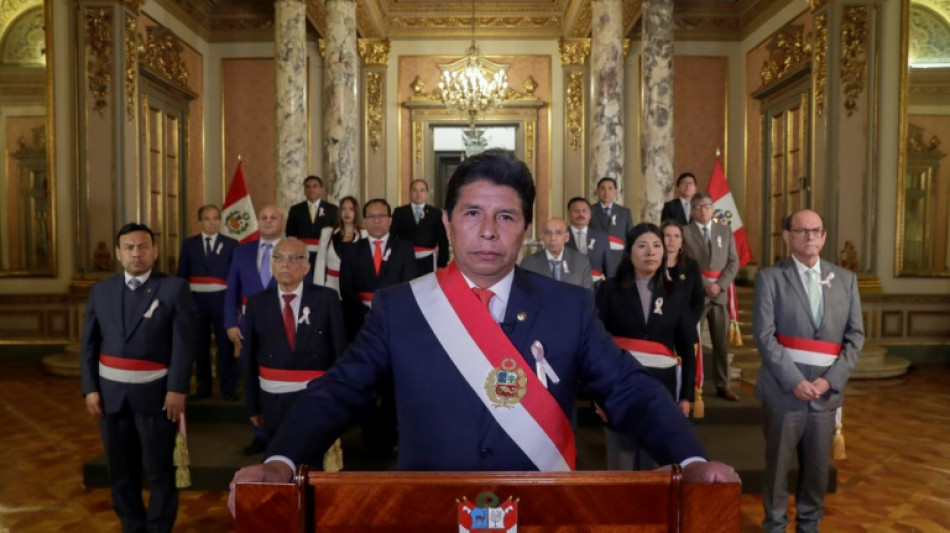 La OEA apoya al gobierno de Per&uacute; y env&iacute;a misi&oacute;n ante crisis pol&iacute;tica