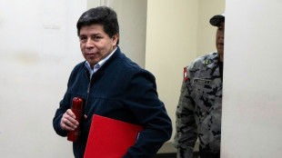 Peru court to decide fate of ousted leftist leader Castillo