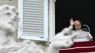 El papa saluda a la multitud en el Vaticano, por primera vez desde su operaci&oacute;n de c&aacute;ncer