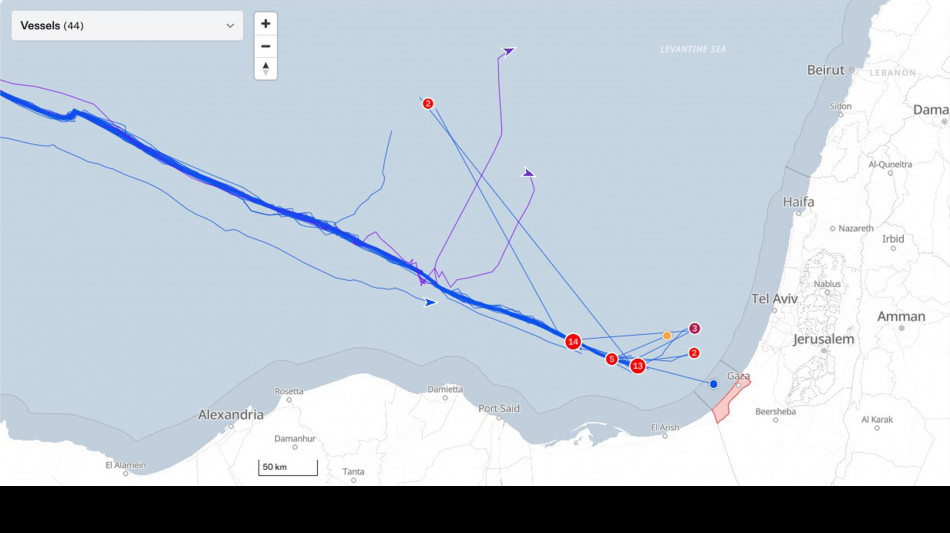 Legali Flotilla, 'alcuni attivisti in sciopero della fame'