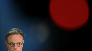 Le chat du Premier ministre belge se fait un nom, comme Larry &agrave; Downing Street