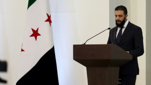 What we know about Syria's new government