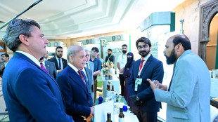 Il Pakistan lancia sua politica nazionale per la filiera olivicola