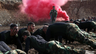 Media ,'Trump offre copertura aerea ai curdi'