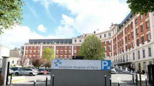 Intelig&ecirc;ncia artificial abre novas perspectivas na reprodu&ccedil;&atilde;o assistida