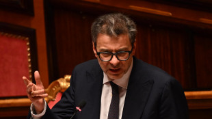Giorgetti, 'valutiamo con attenzione proposta su asset russi'