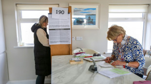 Irlande: le "non" en t&ecirc;te dans les premiers d&eacute;comptes du r&eacute;f&eacute;rendum sur la famille