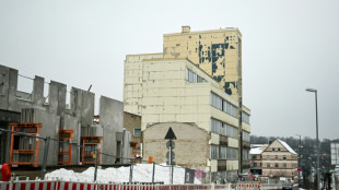 "Comme un château de cartes", l'Allemagne rongée par le spectre du déclin économique