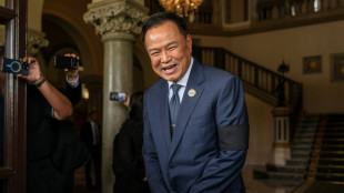 Thai PM agrees coalition with Thaksin-backed party