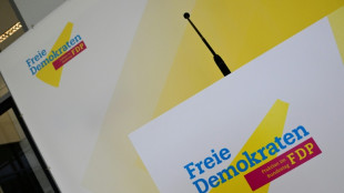 Büttner zur FDP-Generalsekretärin gewählt - Parteitag beschließt Leitantrag