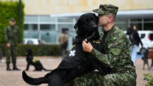 Cães terapeutas ajudam soldados feridos em hospital da Colômbia