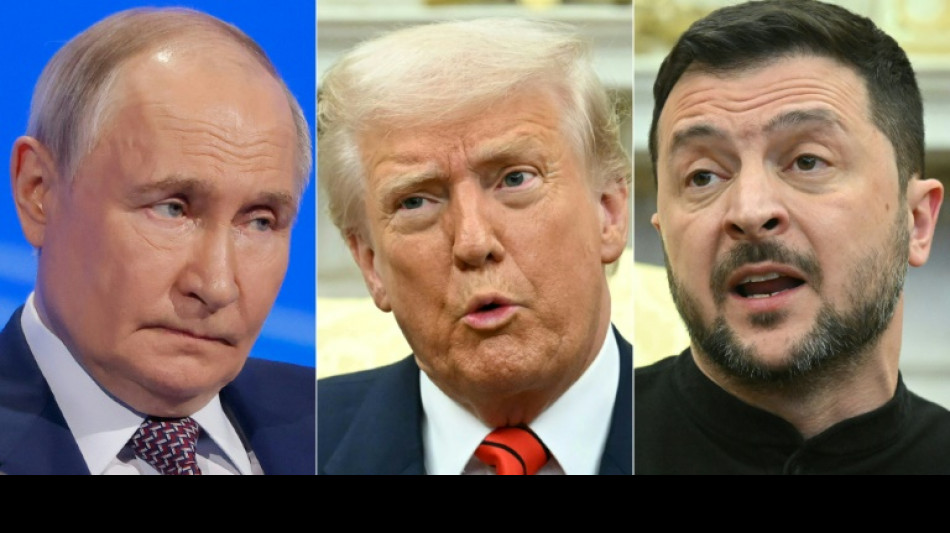 Friedensdiplomatie: Trump könnte Putin und Selenskyj ab nächster Woche treffen