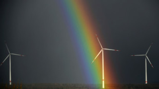 Trotz Flaute zu Jahresbeginn: Erneuerbare dank Solarstrom weiter im Aufwind