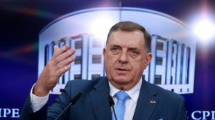Berlin und Wien bekräftigen Einreiseverbot für bosnischen Serbenführer Dodik