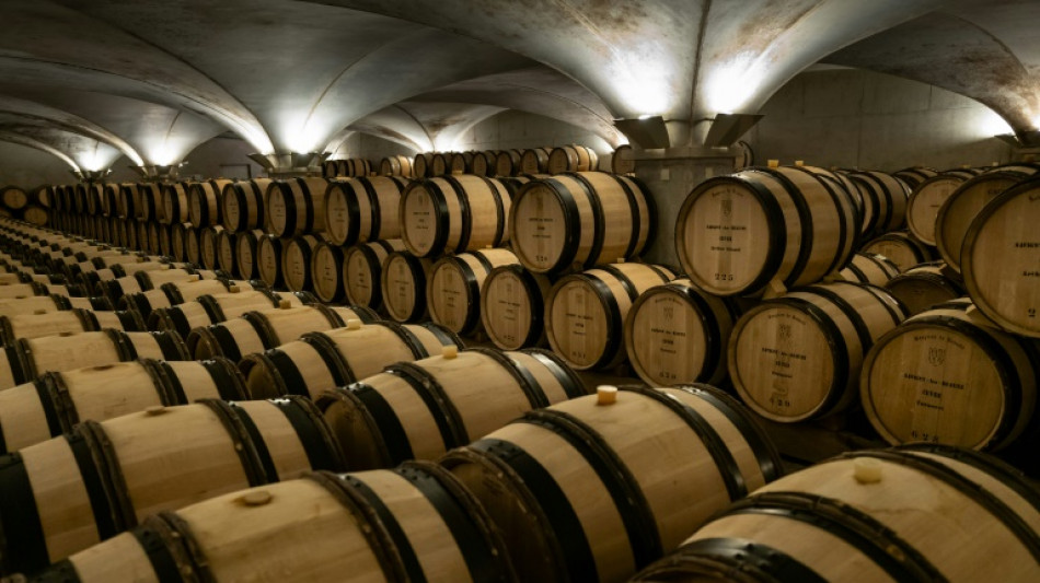 Vente des vins de Beaune: Jean Reno et Eva Longoria invit&eacute;s stars
