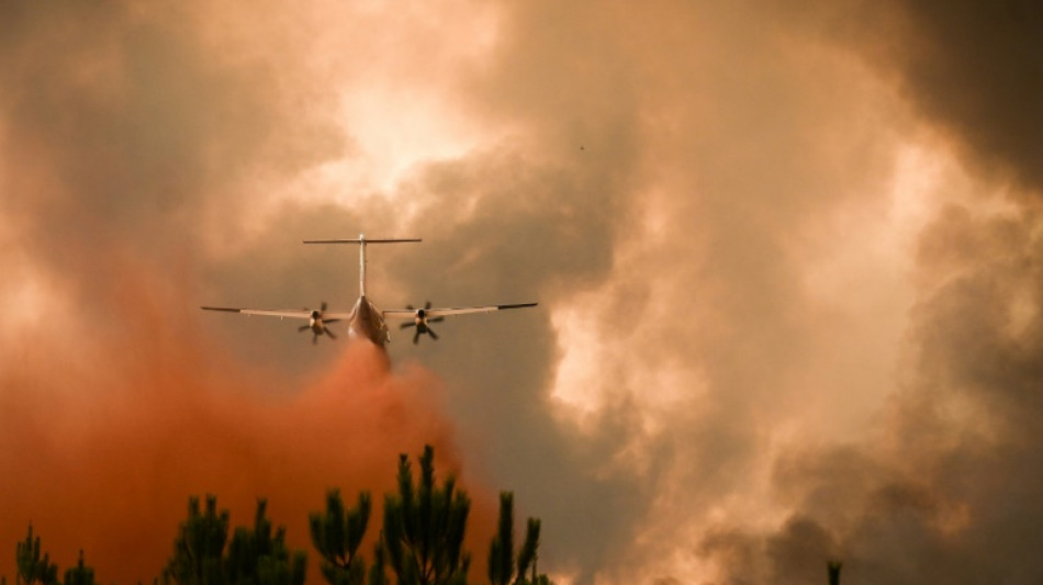 2022 sets record fire activity in southwest Europe: EU
