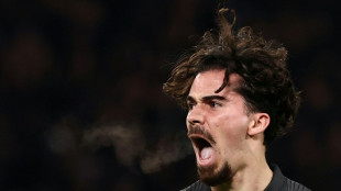 Ligue des champions: le PSG dompte Tottenham malgr&eacute; les mauvais tours de Kolo Muani