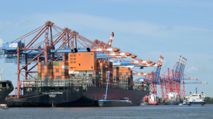 Schmuggel von tonnenweise Kokain in Hamburg: Lange Haftstrafen rechtskräftig