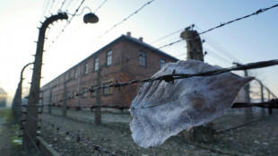 Zentralrat der Juden warnt eindringlich vor Verharmlosung des Holocausts