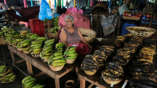 EEUU estudia aranceles contra Nicaragua a causa de las violaciones de los derechos humanos