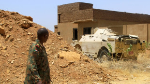 Emirate weisen sudanesische Angaben zu zerstörtem Söldner-Flugzeug zurück