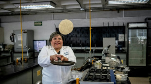Desarrollan en México una tortilla contra la desnutrición y la falta de neveras