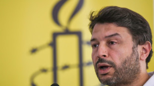 Europe court condemns Turkey over Amnesty activist's 'unlawful' detention