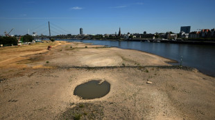 Niedrigwasser: Industrie- und Schifffahrtsverb&auml;nde fordern konkrete Schritte 