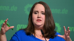 Grüne Lang: Strategie des Brückenbauens funktioniert nicht mehr - Konflikte wagen