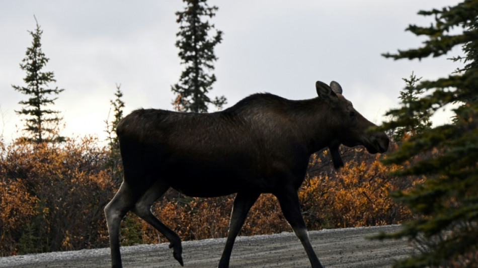 US-Regierung setzt Trump-Pläne für Öl- und Gasförderung in Alaska in Bewegung