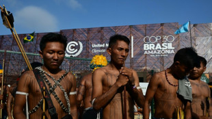 Protest f&uuml;r den Amazonas: Indigene blockieren Zugang zur Weltklimakonferenz