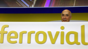 Los accionistas de la espa&ntilde;ola Ferrovial aprueban el pol&eacute;mico traslado a Pa&iacute;ses Bajos
