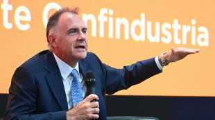 Orsini, 'l'Italia deve avere un p&ograve; pi&ugrave; coraggio, se l'Europa ci frena infrazione'