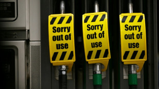 Pa&iacute;ses de la AIE liberan 400 millones de barriles de petr&oacute;leo de sus reservas estrat&eacute;gicas