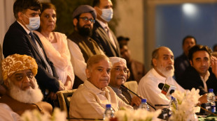 Pakistan PM bids to keep allies on side ahead of confidence vote