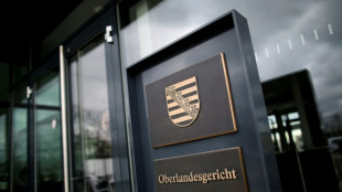 Spionageprozess gegen früheren Mitarbeiter von AfD-Politiker Krah startet