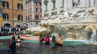 Unos ecologistas ti&ntilde;en de negro el agua de la Fontana di Trevi en Roma