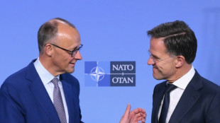 NATO chief seeks defence spending at 5% of GDP by 2032: Dutch PM