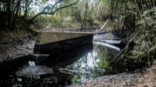 Controlan un derrame de hidrocarburos provocado por las lluvias en México