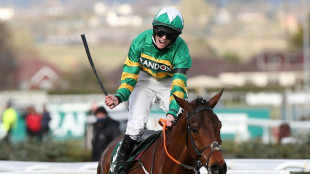 Minella Times, Rachael Blackmore's history making National ride, retires