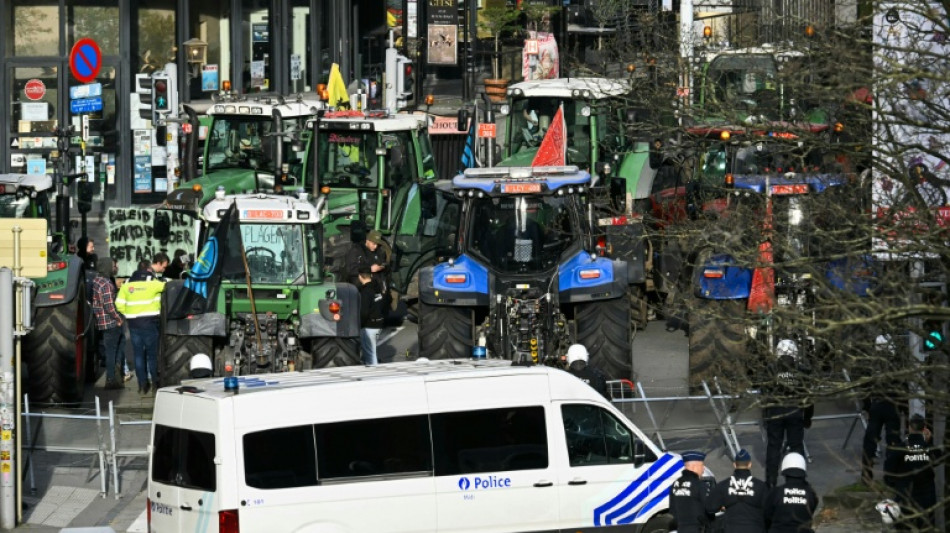 Les agriculteurs tonnent contre le Mercosur, &eacute;chauffour&eacute;es devant le Parlement europ&eacute;en