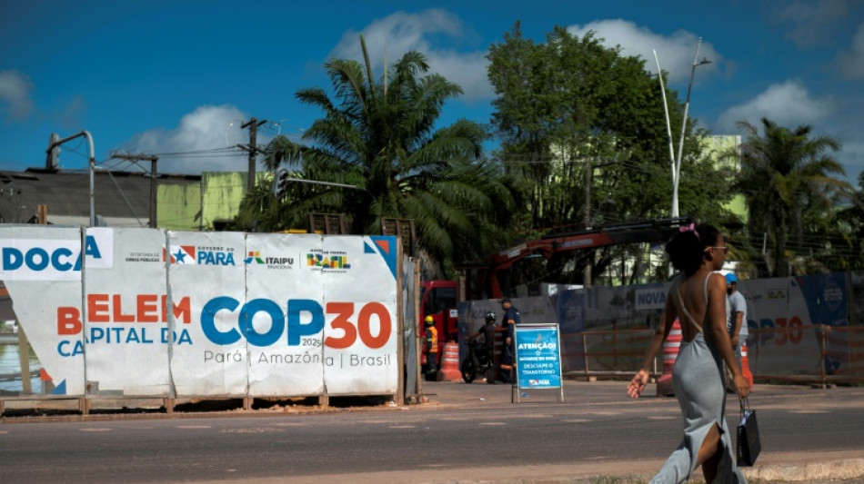 Trees, targets and trillions: what's on the agenda at COP30?
